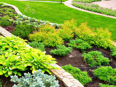 Seasonal Landscape Services