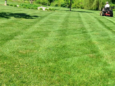 Seasonal Landscaping